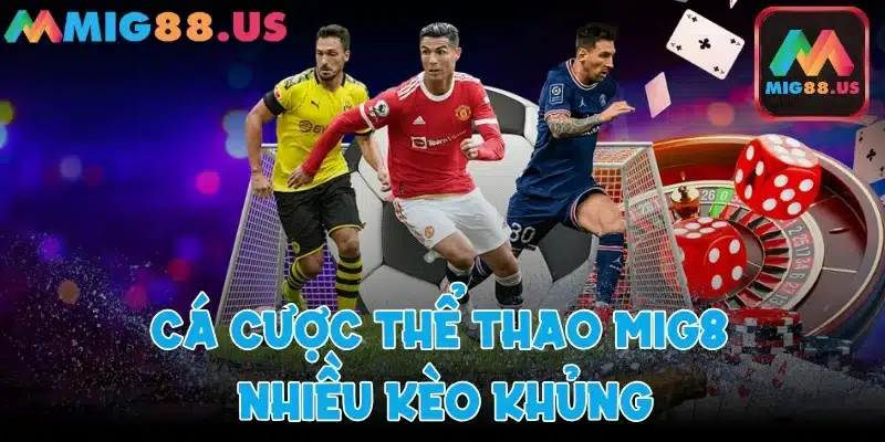 Cá cược thể thao sôi động với nhiều sự kiện