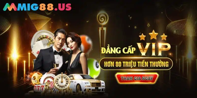 Cá cược Casino đẳng cấp