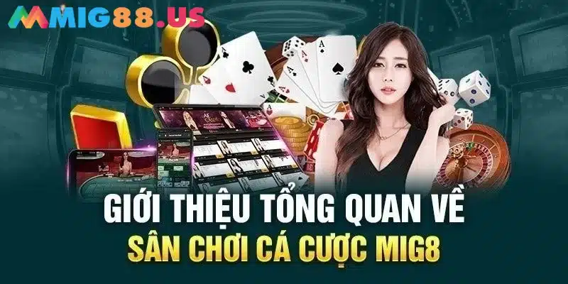 Tìm hiểu tổng quan Mig8 là gì?